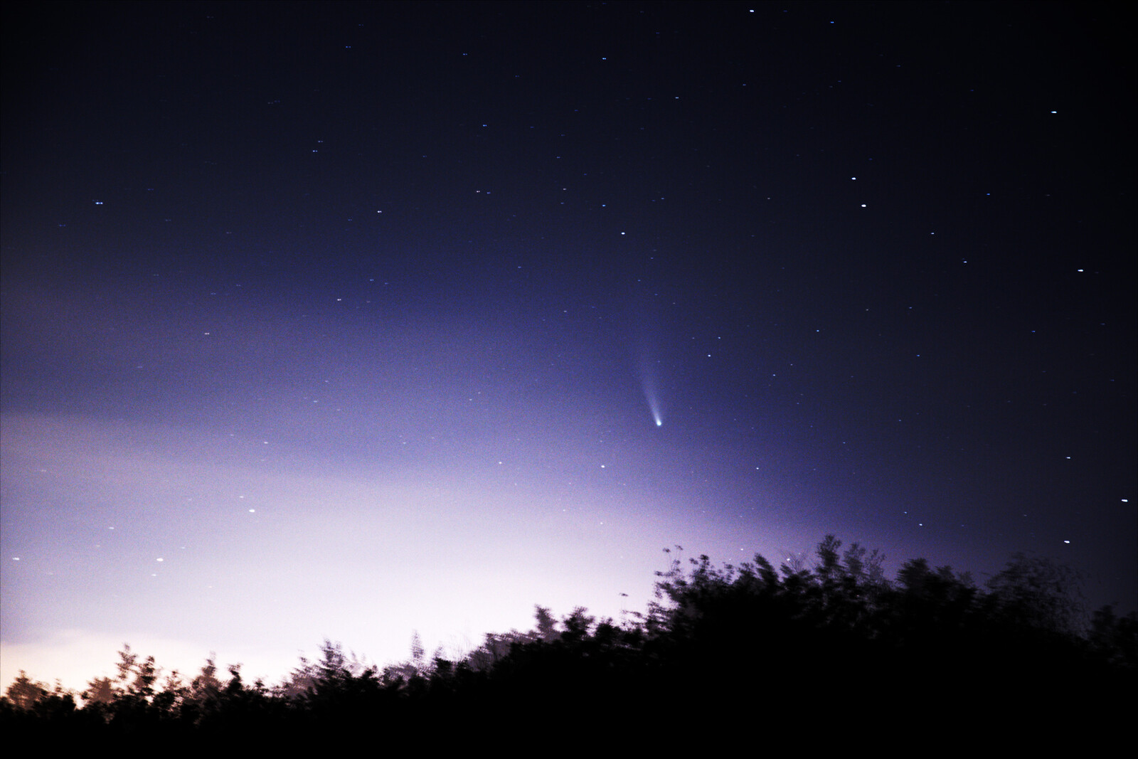 Great Comet C/2020 F3 NEOWISE